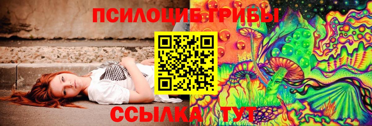 Большой Камень  Галлюциногенные грибы мухоморы  Вход с VPN 